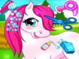 玩 Horse pet salon 3d now