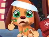 玩 Stray puppy pet care game now