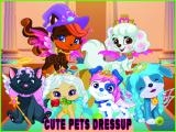 玩 Cute pets summer dress up now