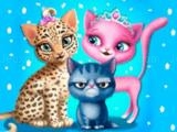 玩 Cat hair salon now