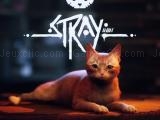 玩 Stray now