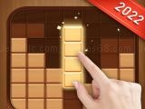 玩 Block puzzle 2022