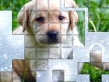 玩 Picpu dog now