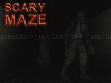 玩 Scary maze 3d