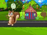 玩 Feed the squirrel now