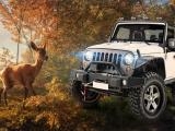 玩 Safari jeep car parking sim: jungle adventure
