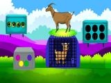 玩 Lamb escape now