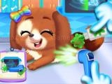 玩 Newborn puppy dog salon now