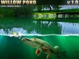 玩 Willow pond now
