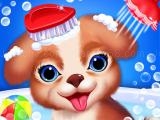 玩 Princess pup rescue now