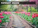玩 Pathway jigsaw now