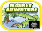玩 Monkey care now