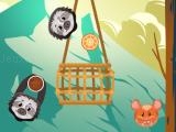 玩 Slings to the basket now