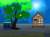 玩 Woody house escape now