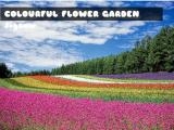 玩 Colourful flower garden jigsaw now