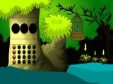 玩 Cage bird escape now