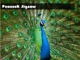 玩 Peacock jigsaw now