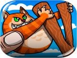 玩 Angrycat now