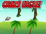 玩 Crazy eagle now