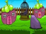 玩 Pigeon escape now