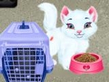 玩 Baby taylor pet care now