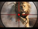 玩 Wild life hunting now