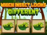 玩 Which insect looks different now