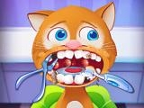 玩 Pet house - little friends now