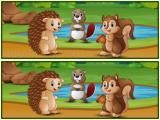 玩 Spot the differences forests now