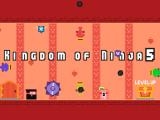 玩 Kingdom of ninja 5 now