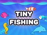 玩 Tiny fishing masters now