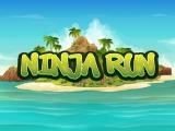玩 Ninja run island now