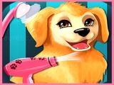 玩 Puppy now