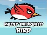 玩 Mildly infuriated bird now