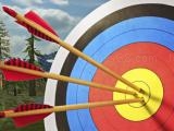 玩 Archery master 3d now
