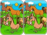 玩 Animals differences now