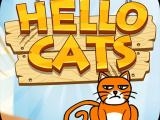 玩 Hello cats now