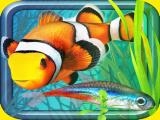 玩 Fish farm - aquarium simulator now