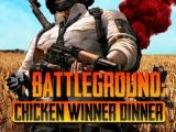 玩 Pubg chicken winner now