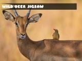 玩 Wild deer jigsaw now