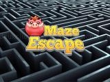 玩 Maze escape now