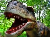 玩 Dinosaurs scary teeth puzzle now