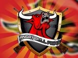 玩 Angry bull now