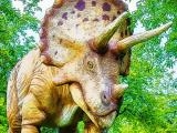 玩 Giant triceratops puzzle now