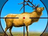 玩 Wild deer hunting 3d now