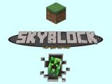 玩 Minecraft - skyblock now