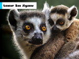 玩 Lemur zoo jigsaw now