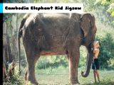 玩 Cambodia elephant kid jigsaw now