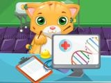 玩 Cat doctor sim now