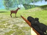 玩 Deer hunter 3d now
